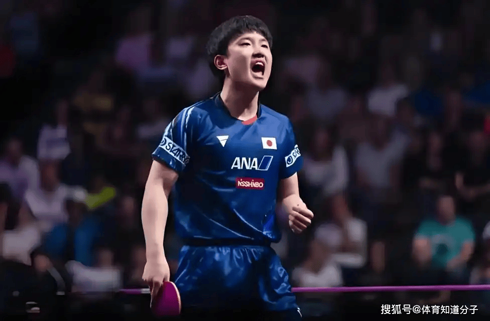 波兰队翻盘法国队，张本智和状态火热