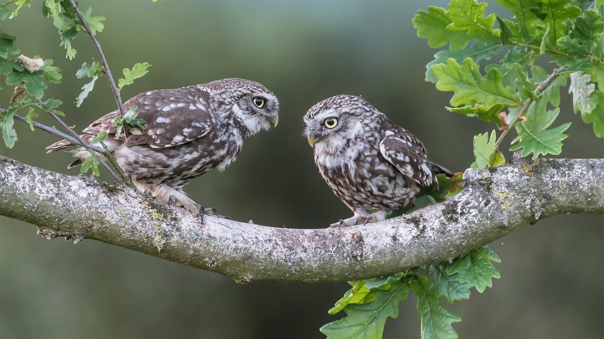 打破老二魔咒,浙江队的觉醒之战