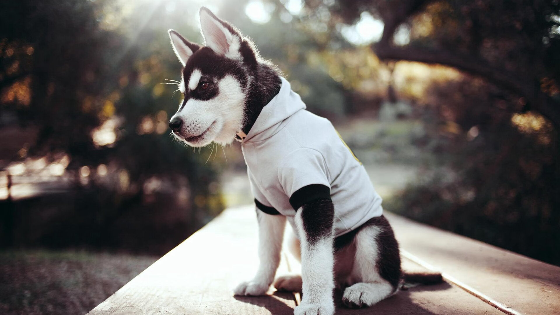 楚阿梅尼闪耀梦剧场,曼联完胜哥斯达黎加背后的战术革命