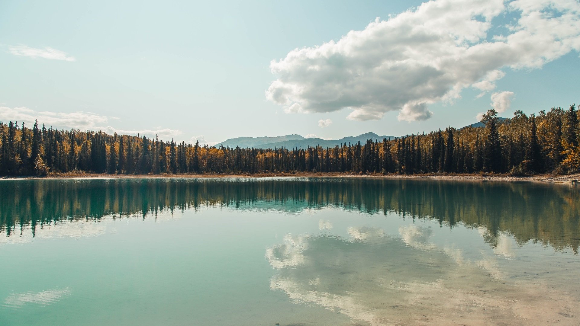 无声的雷霆，楚阿梅尼在英超争冠夜的非典型巨星统治力