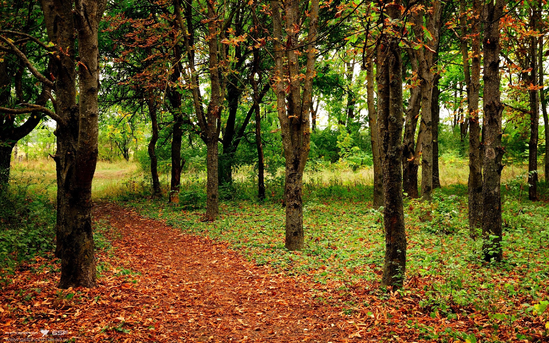 枫叶闪电撕裂紫百合，马丁内利23分钟个人秀终结悬念