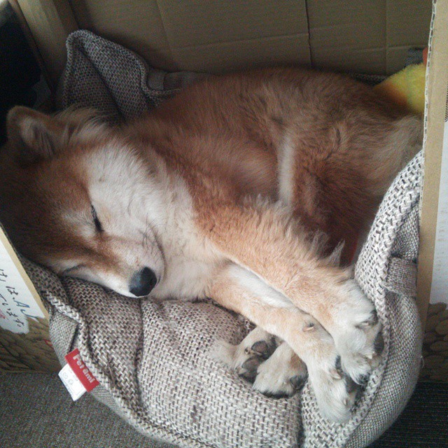 绝境曙光，加克波巨星式爆发，助比利时关键战险胜加纳成功突围