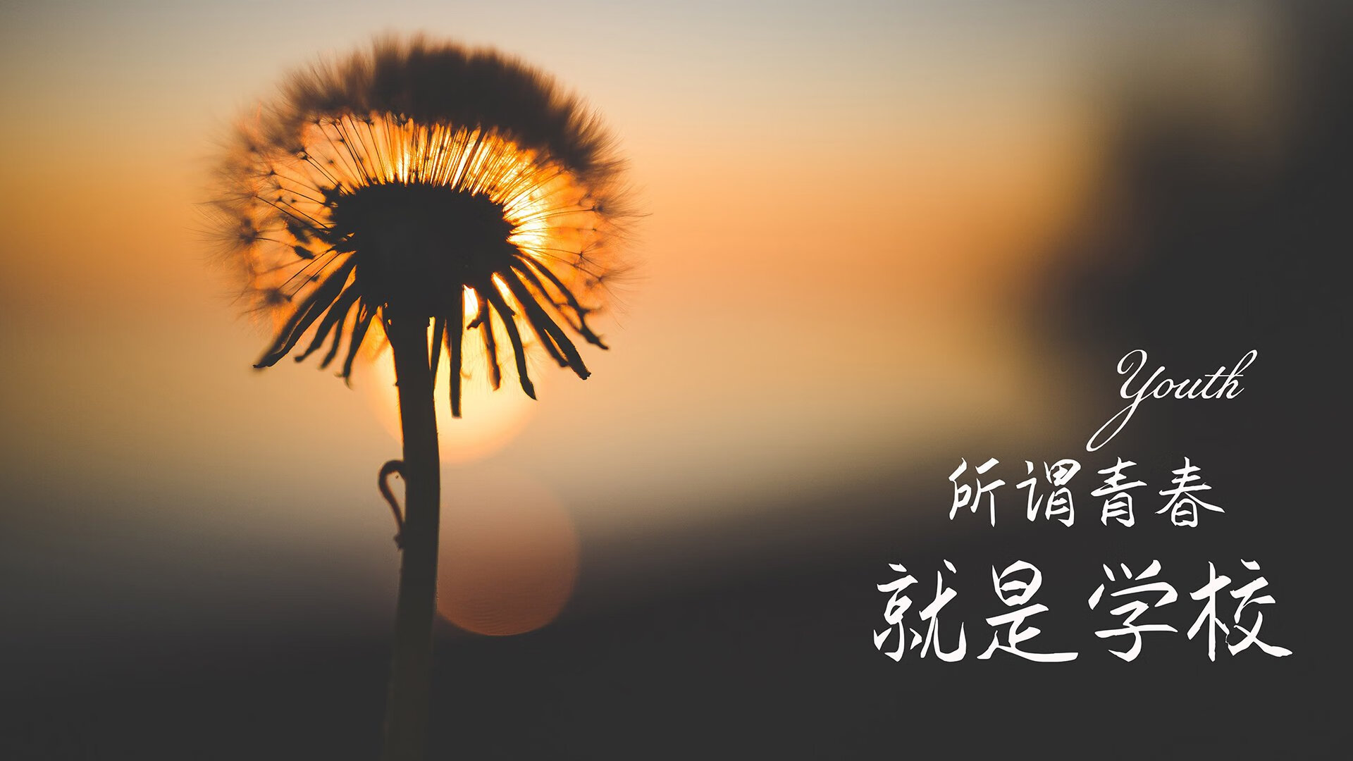 北欧风暴，当萨卡的血脉与瑞典铁骑共震，勒沃库森的北欧铁三角悄然成型