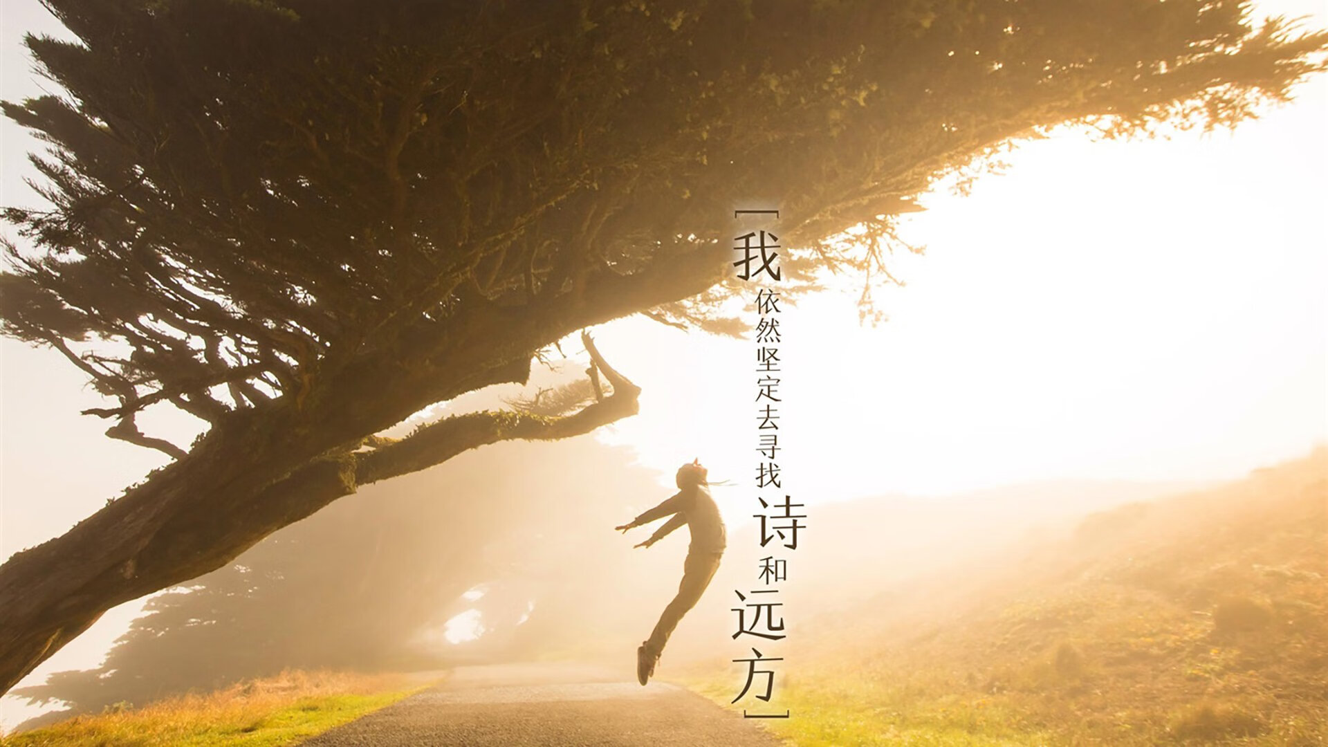 唯一的天命，哈兰德封神之夜，墨西哥足球如何用碾压写就2026世界杯H组的唯一剧本